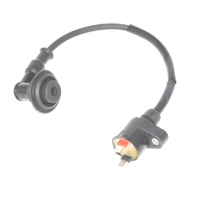 Pgo Hot 50 T�ndspole Original